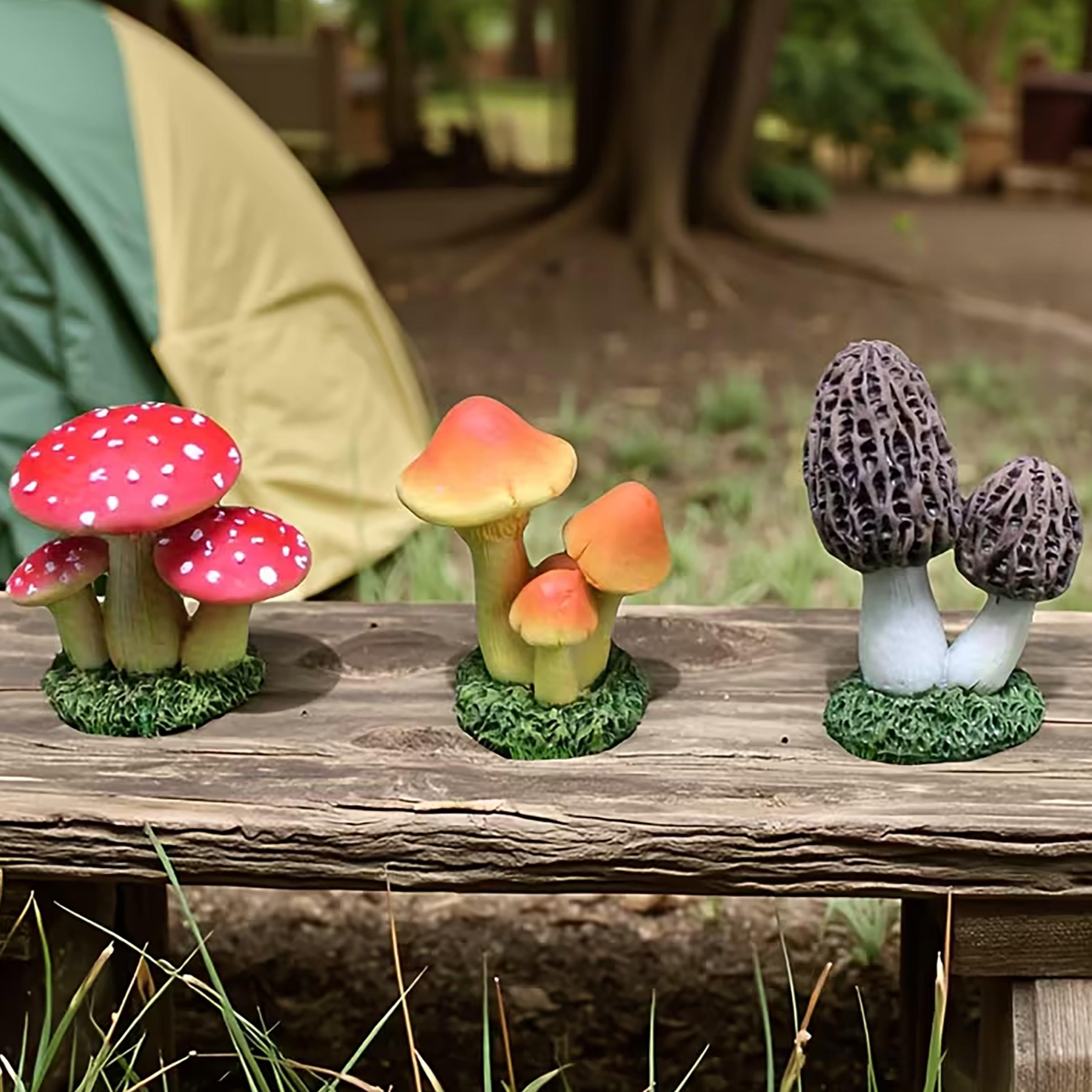 1 Conjunto de 3 Peças de Ornam - Terrarium Moss Art avaliação e preço